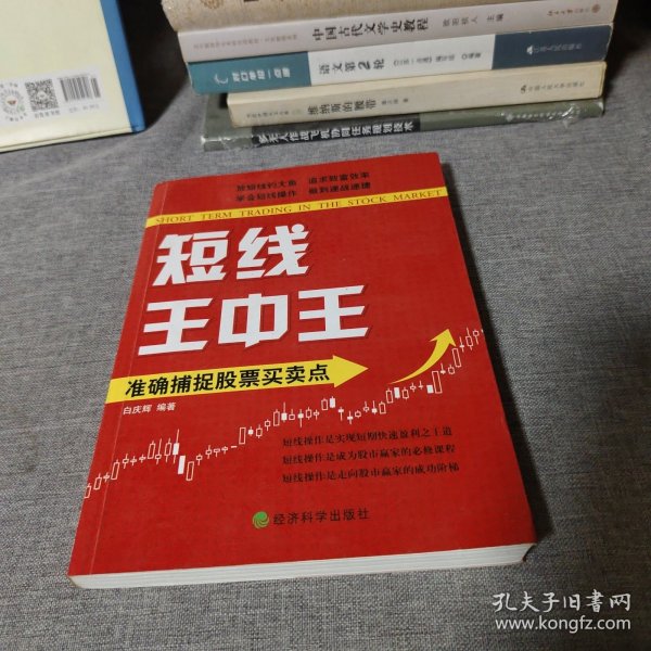 王中王平特一肖中的奧秘與探索，王中王平特一肖的奧秘與探索之旅