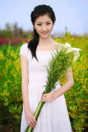 新澳門生肖走勢(shì)圖精準(zhǔn)版，解讀與SEO策略，新澳門生肖走勢(shì)圖精準(zhǔn)解讀與SEO策略揭秘