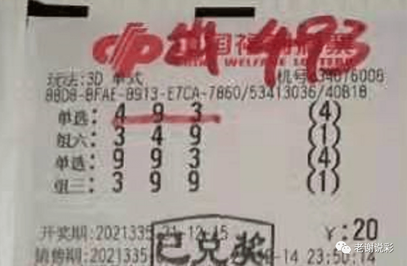 新奧門彩天天開獎(jiǎng)資料一網(wǎng)羅萬象，揭秘彩票奧秘，揭秘彩票奧秘，新奧門彩天天開獎(jiǎng)資料一網(wǎng)羅萬象