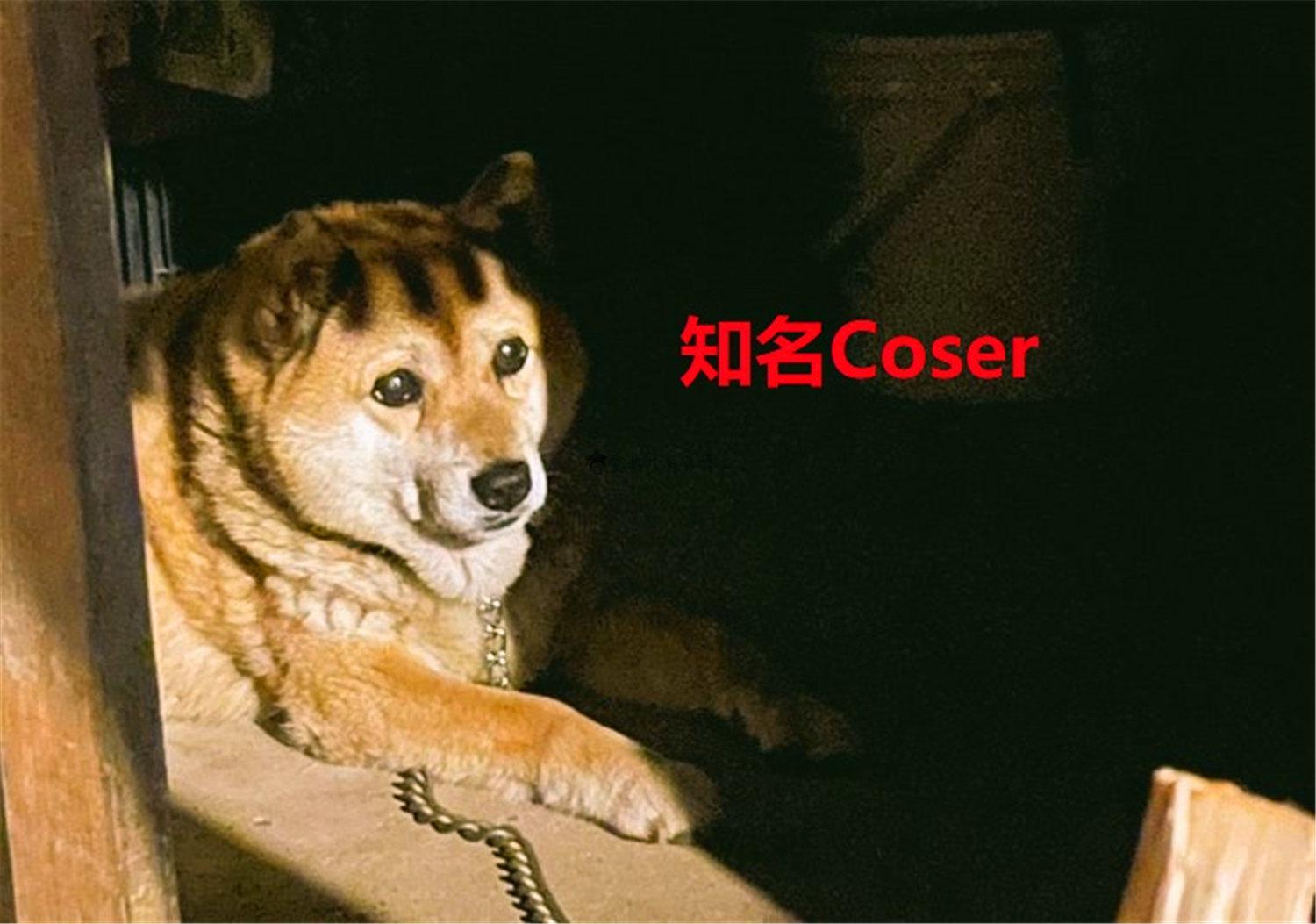 豬狗同行王中王，猜一肖，深度解析與SEO優(yōu)化，豬狗同行王中王猜謎解析與SEO優(yōu)化技巧，深度解析揭秘生肖之謎