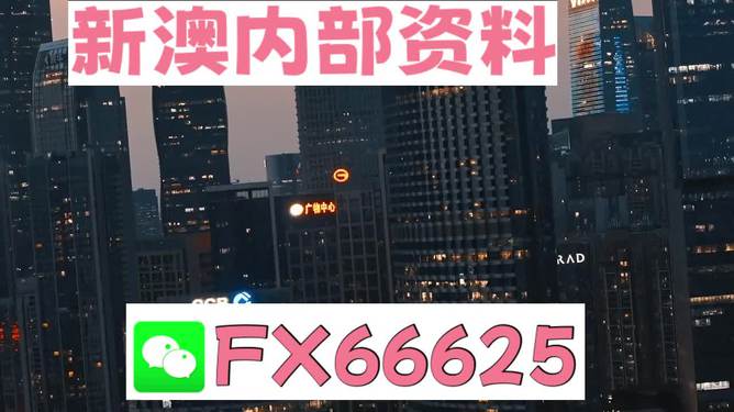 澳門跑狗，探索與解析，澳門跑狗，探索與解析之道