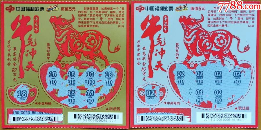 王中王19期指一生肖——探尋背后的奧秘與意義，王中王19期指一生肖，背后的奧秘與意義探尋