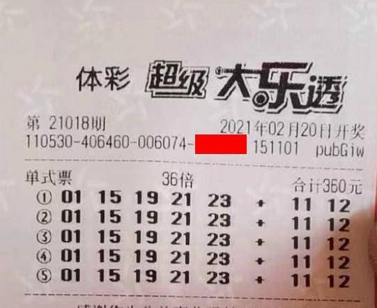 王中王018期指一生肖，揭秘背后的奧秘與意義，揭秘生肖奧秘，王中王生肖背后的意義與秘密