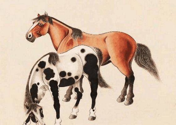 馬一王中王特平一肖圖，深度解析與SEO優(yōu)化策略，深度解析馬一王中王特平肖圖，SEO優(yōu)化策略探討