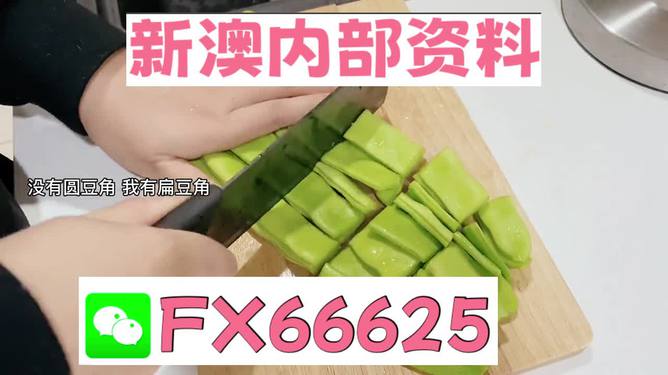 新澳精選資料免費提供，探索優(yōu)質(zhì)資源的海洋，新澳精選資料免費探索，優(yōu)質(zhì)資源海洋的開啟