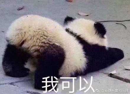 澳門四不像正版四不像網(wǎng)，探索真實(shí)與虛幻的交融之地，澳門四不像正版探索，真實(shí)與虛幻的交融世界