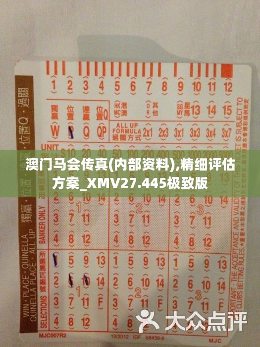 馬會傳真正版，探索正版馬會文化的魅力與價值，正版馬會文化的魅力與價值探索