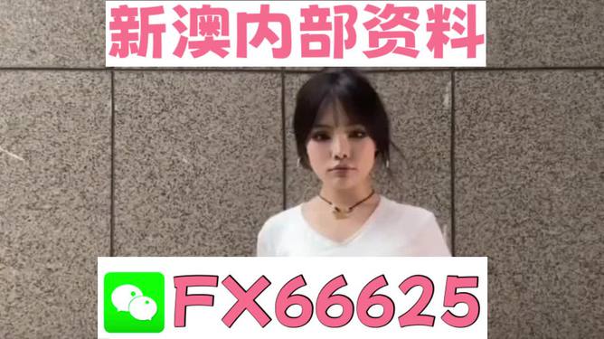 澳門正版資料大全完整版，探索與揭秘2025年澳門正版資料的世界，澳門正版資料大全揭秘，探索未來至2025年的奧秘世界