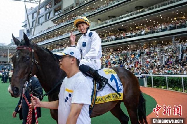 香港特馬王資料免費公開，揭秘背后的秘密，香港特馬王資料揭秘，免費公開背后的秘密