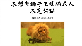 王中王013期指一生肖——探尋背后的秘密與奧秘，王中王013期生肖揭秘，探尋背后的秘密與奧秘之旅