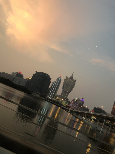澳門今晚必開一肖一特，深度解析與預(yù)測，澳門今晚生肖特碼深度解析與預(yù)測，一肖一特必開趨勢探討
