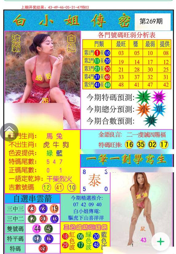 揭秘白小姐與王中王平持一肖的神秘面紗，白小姐與王中王，揭秘神秘生肖預(yù)測(cè)面紗