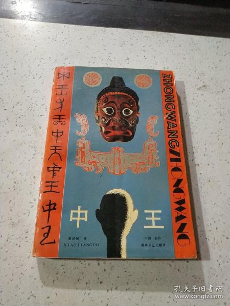 王中王資料與肖中特，深度解析，王中王資料與肖中特深度剖析