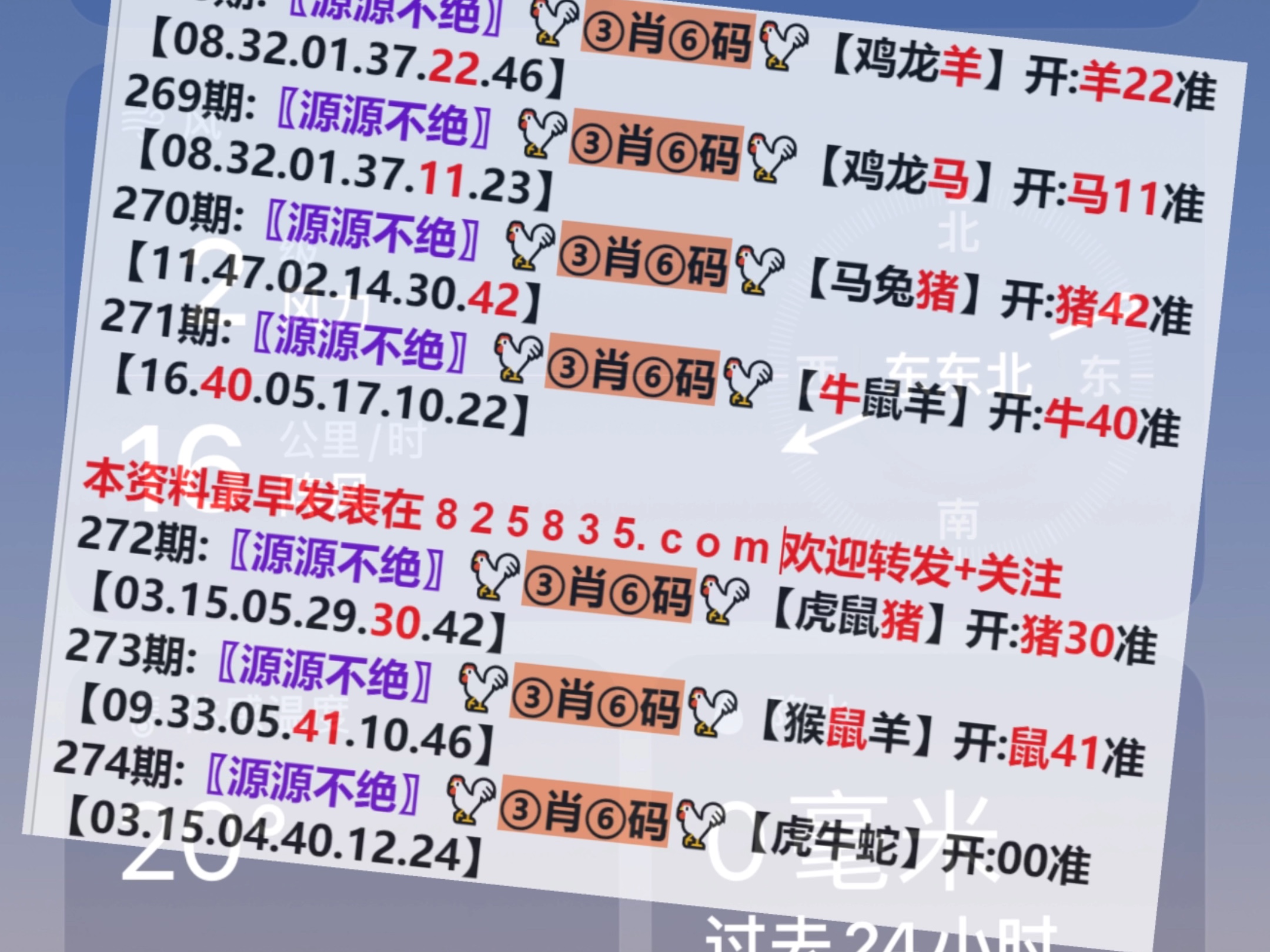 澳門一肖一碼開獎結(jié)果，揭秘彩票背后的秘密，澳門彩票開獎結(jié)果揭秘，一肖一碼背后的秘密