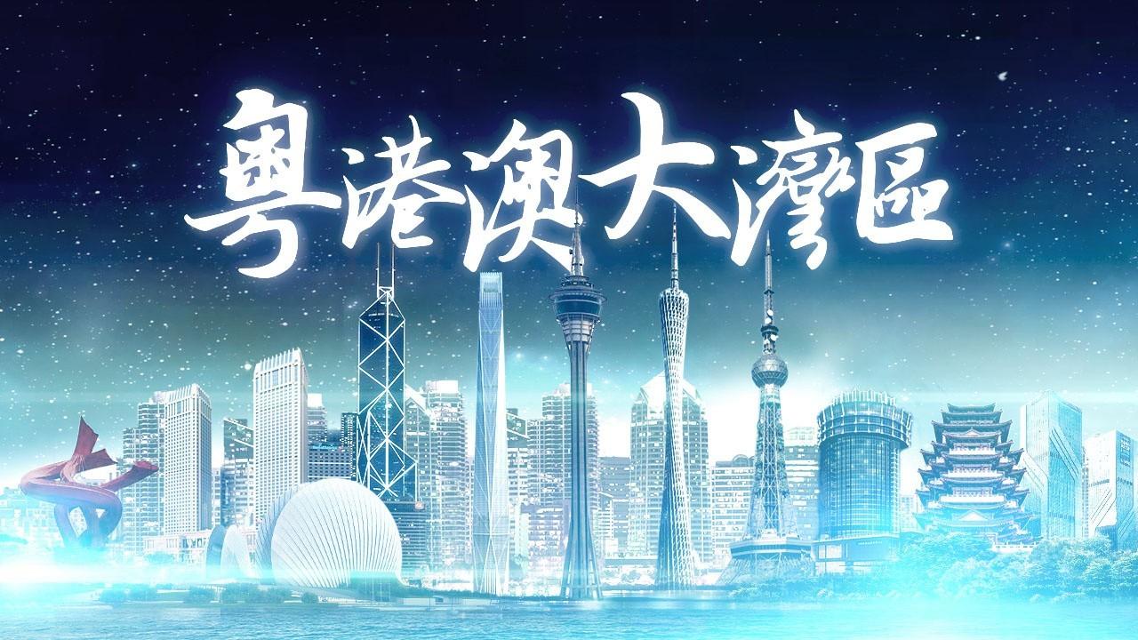 2025年香港正版免費資料全面解析，香港正版免費資料全面解析（2025版）