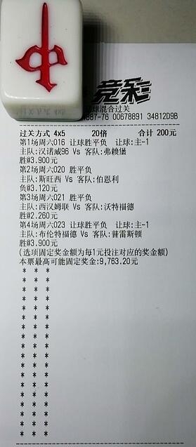 揭秘買一肖中獎的賠率與風(fēng)險(xiǎn)，你真的準(zhǔn)備好了嗎？，揭秘買一肖中獎背后的賠率與風(fēng)險(xiǎn)，你真的做好準(zhǔn)備了嗎？