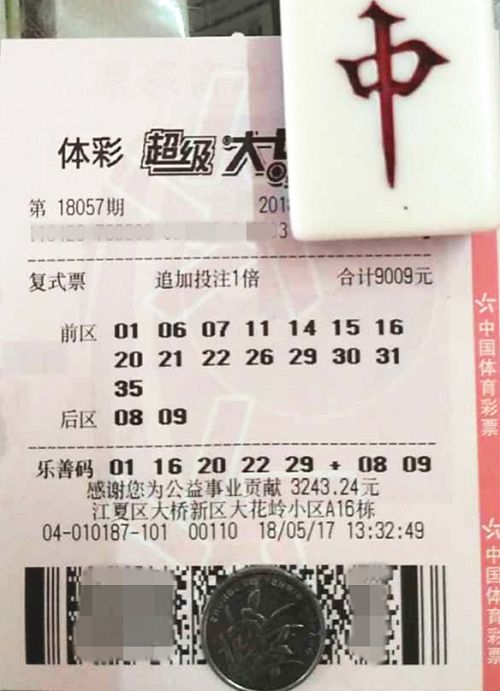 澳門六開彩天天開獎結果查詢，輕松掌握最新動態(tài)，澳門六開彩最新開獎結果查詢，輕松掌握每日動態(tài)