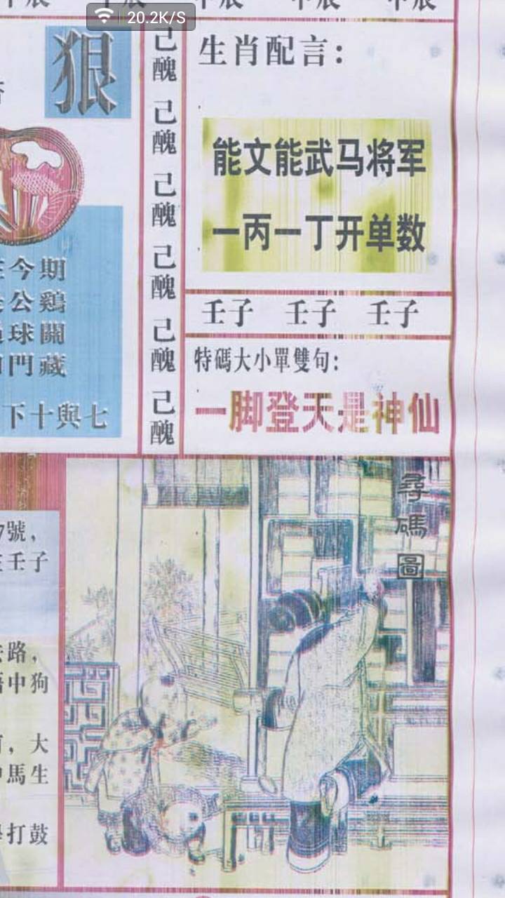 仍是王中王，揭秘生肖之王的神秘面紗——打一生肖，揭秘生肖之王，王中王的神秘面紗——生肖揭秘