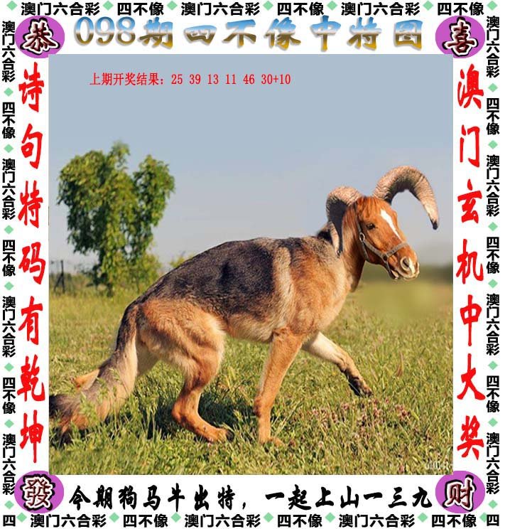 澳門四不像圖，神秘與獨特的藝術(shù)魅力，澳門四不像圖，神秘獨特的藝術(shù)魅力