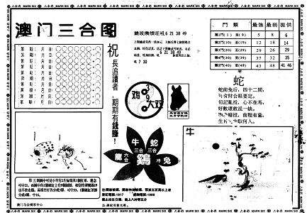 王中王資料一肖中特官婆，深度解析與SEO優(yōu)化策略，王中王資料一肖中特官婆深度解析與SEO優(yōu)化策略探討