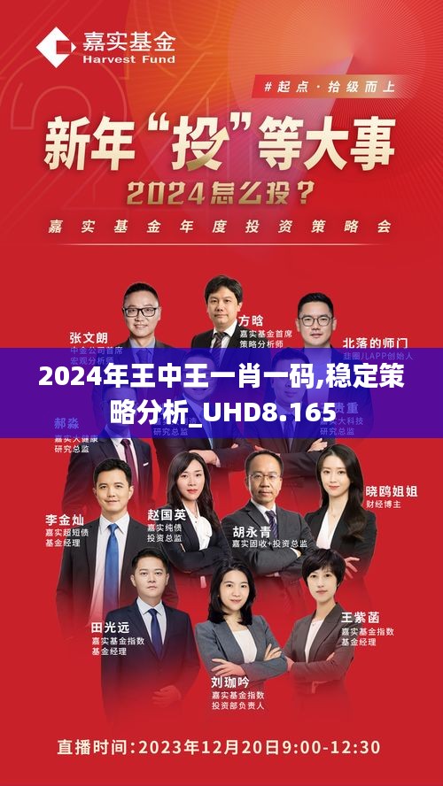 王中王一馬中一肖一馬，探尋背后的故事與奧秘，探尋王中王一馬中一肖一馬背后的故事與奧秘