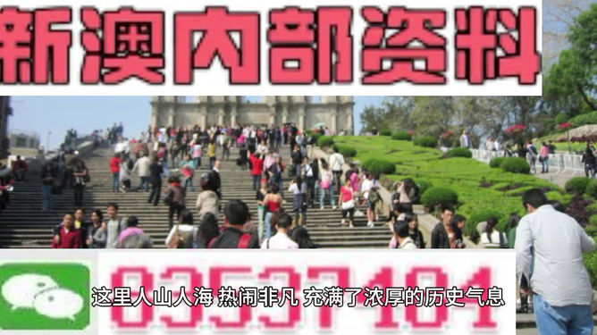 澳門最精準免費資料大全旅游團，探索澳門之旅的完美選擇，澳門最精準免費資料大全旅游團，探索澳門之旅的不二之選