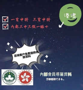 揭秘香港王中王，探尋肖中特背后的秘密，揭秘香港王中王背后的秘密與肖中特真相探索
