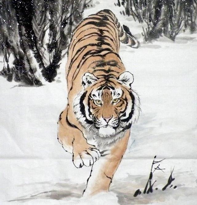 猛虎下山王中王，揭秘一生肖的神秘魅力，揭秘生肖之王——猛虎下山之神秘魅力