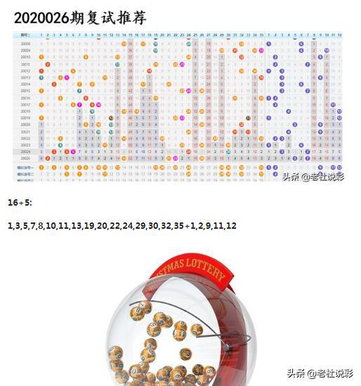 王中王026期指一生肖，深度解讀與SEO優(yōu)化策略，王中王026期生肖深度解讀與SEO優(yōu)化策略全解析
