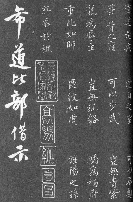 一肖二碼中特的意思解析，一肖二碼中特的意思深度解析