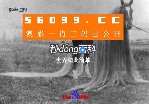 澳門一肖一碼一必中一肖舟山，揭秘彩票秘密，掌握幸運之鑰，揭秘彩票秘密，澳門一肖一碼必中秘籍與幸運之鑰在舟山開啟