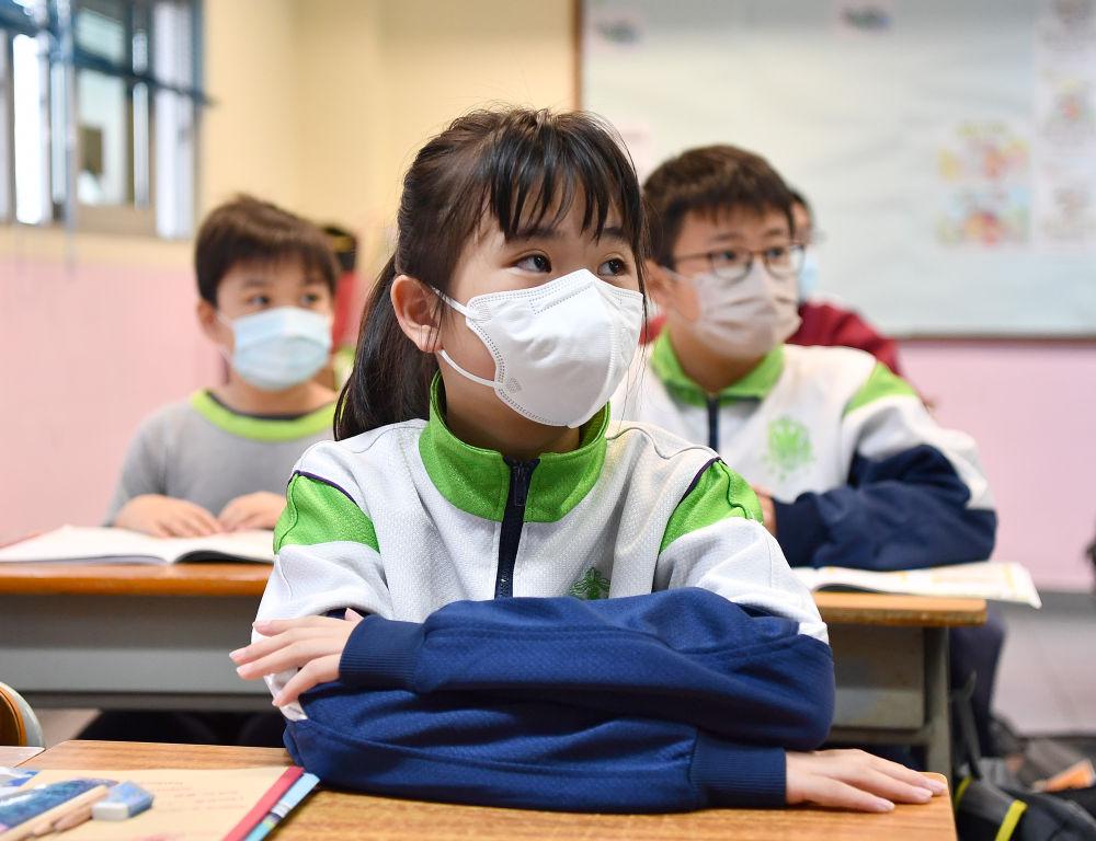 香港今晚必開一肖，深度解析與預測，香港今晚生肖預測，深度解析與獨家預測