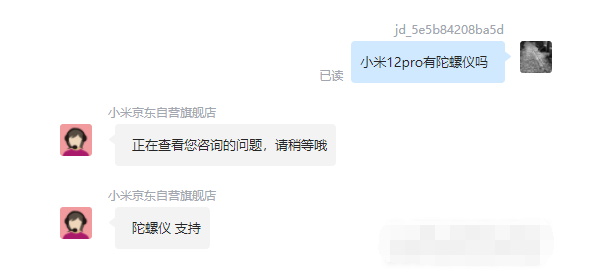 王中王一肖碼，探索關(guān)鍵詞背后的奧秘，王中王一肖碼，揭秘關(guān)鍵詞背后的奧秘