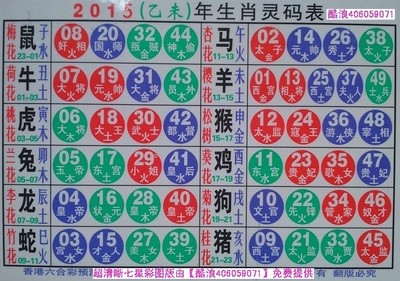 揭秘2025十二生肖與數(shù)字彩票的神奇聯(lián)系——49碼表全解析，揭秘十二生肖與數(shù)字彩票的神秘聯(lián)系，2025年49碼表深度解析