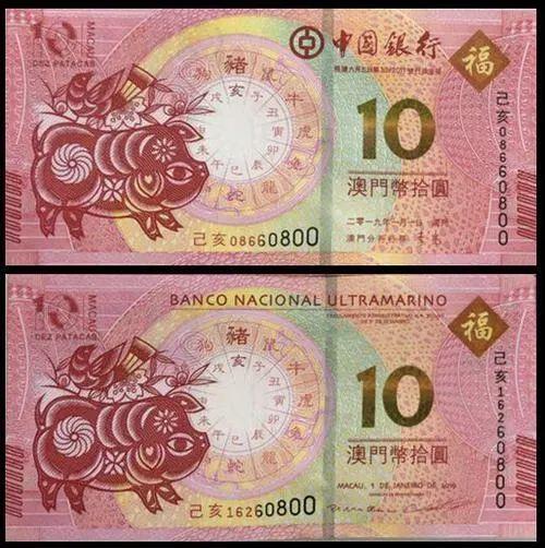 澳門天天彩期期精準十二生肖預(yù)測——揭秘彩票背后的秘密，澳門天天彩期期精準十二生肖預(yù)測，彩票背后的秘密大揭秘