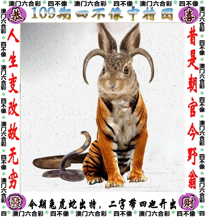 四不像王中王資料一肖，深度解析與探索，四不像王中王資料一肖，深度解析與探索揭秘