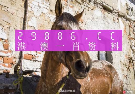 王中王資料一門肖中，深度解析與探索，王中王資料一門肖詳解，深度解析與探索