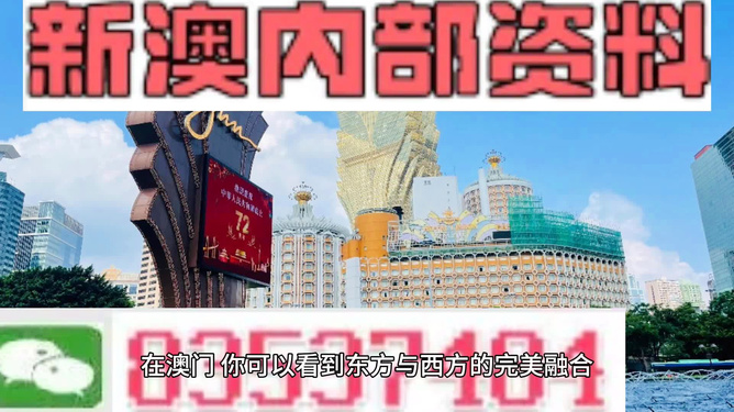 新澳新澳門正版資料，探索與解析，新澳新澳門正版資料深度解析與探索