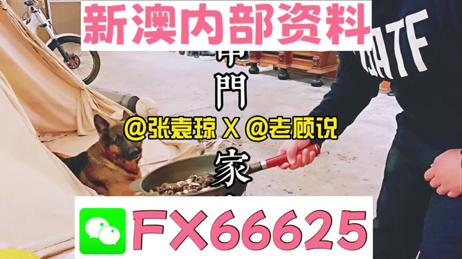 新澳門(mén)精準(zhǔn)資料大全，管家婆料解析與探索，澳門(mén)精準(zhǔn)資料大全，管家婆料解析與深度探索