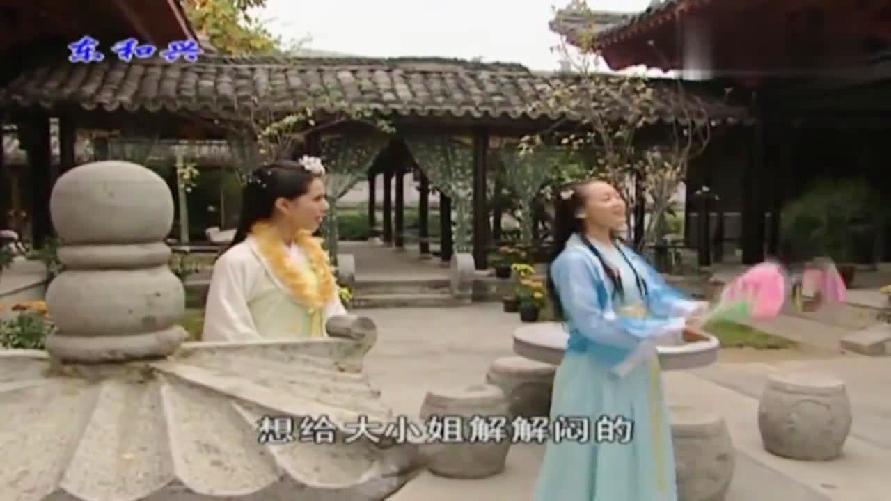 劉伯溫白小姐一肖期期準(zhǔn)，神秘預(yù)測(cè)背后的真相，劉伯溫白小姐生肖預(yù)測(cè)揭秘，神秘預(yù)測(cè)背后的真相