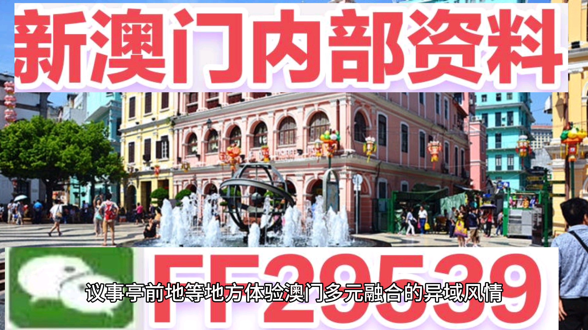 澳門今晚必開一肖一特，揭秘生肖彩票的魅力與策略，澳門生肖彩票揭秘，必開一肖一特的魅力與策略