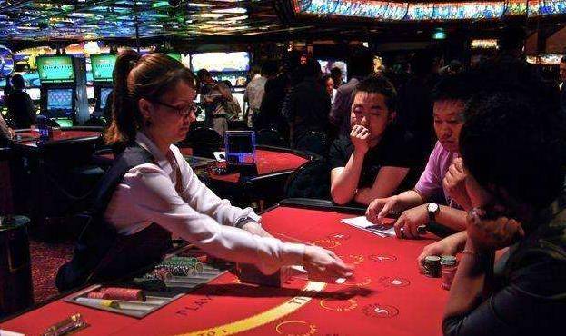 澳門金牛王中王一肖，探索背后的神秘與魅力，澳門金牛王中王一肖，神秘魅力背后的探索