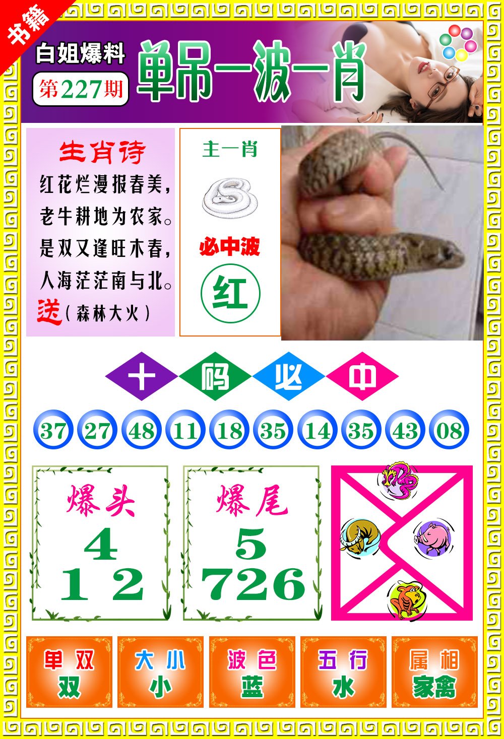 王中王免費一肖開獎，揭秘彩票背后的秘密，揭秘彩票背后的秘密，王中王免費一肖開獎探秘