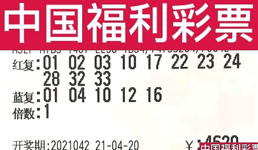 新奧門今晚開獎結(jié)果查詢第243期，全面解析與預(yù)測，新奧門第243期開獎結(jié)果解析與預(yù)測，今晚開獎揭秘