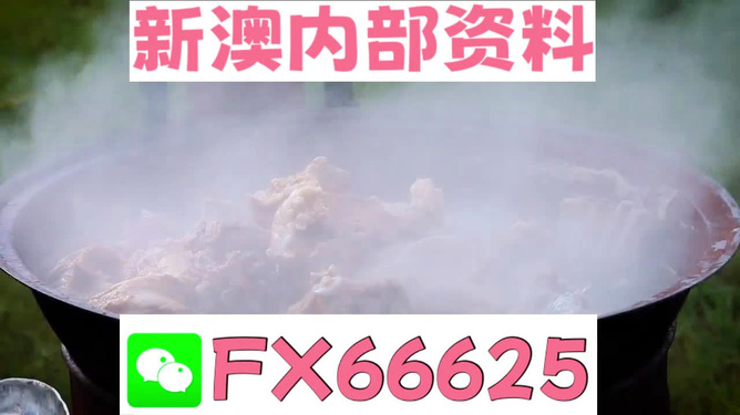 新澳全年免費資料大全，一站式獲取優(yōu)質(zhì)資源指南，新澳全年優(yōu)質(zhì)資源免費獲取指南