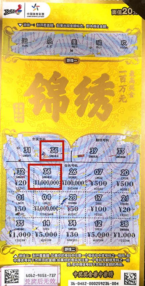 王中王六肖一碼期期中的奧秘與探索，王中王六肖一碼期奧秘揭秘與探索