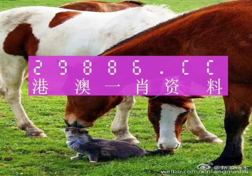 新奧門一肖一碼，揭秘精準(zhǔn)預(yù)測的秘密，揭秘新澳門一肖一碼精準(zhǔn)預(yù)測的秘密
