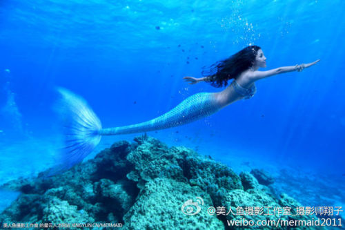 澳門美人魚最快開獎結(jié)果圖——揭秘熱門彩票游戲背后的秘密，澳門美人魚彩票開獎揭秘，最新結(jié)果圖與游戲背后秘密探索