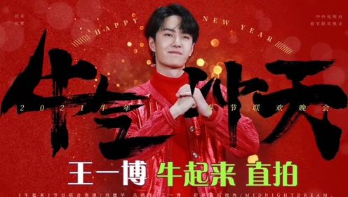 探尋王中王，揭秘發(fā)個王中王一肖中特背后的奧秘，揭秘王中王，探尋發(fā)個王中王一肖中特背后的神秘奧秘