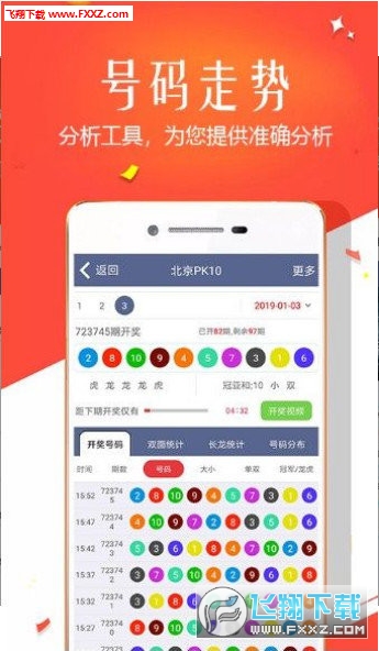 王中王四肖選一，揭秘選擇與優(yōu)化策略，王中王四肖選一，選擇與優(yōu)化策略的揭秘